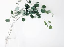 Funeral Venues in Danville, Illinois