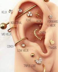 Loading Ear Piercings Chart Cool Ear Piercings Types Of Ear Piercings