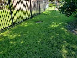 The low points are areas where water settles. Drainage Installation Service Baton Rouge