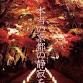 "Tengu's Path" - Autumn Lightup in Kurama event image