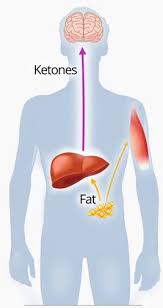 A Ketogenic Diet For Beginners The 1 Keto Guide Diet Doctor
