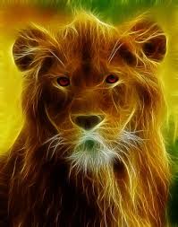 Fractal Lion Animals Artwork Animal Art Cat Art