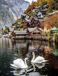 Ακολουθεί η λίστα των απαντήσεων wow αυστρια hallstatt. Hallstatt Austria Travel Aesthetic Beautiful Places To Travel Places To Travel