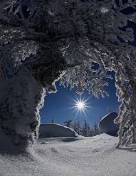 Winterbilder · pexels · kostenlose stock fotos : Pin Von Melanie Ginko Auf Winter Winterlandschaft Bilder Winterbilder Landschaftsbilder