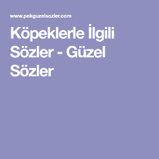 Kopeklerle Ilgili Sozler Kopek Guzel Soz