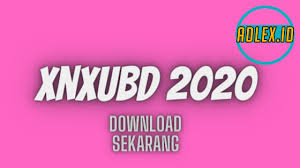 Portal halaman depan negara republik indonesia di dunia maya. Xnxubd 2020 Nvidia Video Indonesia Apk Free Full Version Apk Download Video Archives Adlex News
