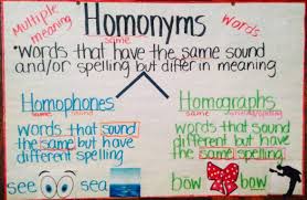 Homonyms Anchor Chart English Pinterest Anchor Charts