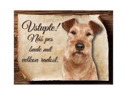 Image result for irský teriér