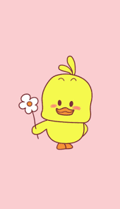 Cute Wallpaper Meo Kitty động Vật Gấu Bắc Cực