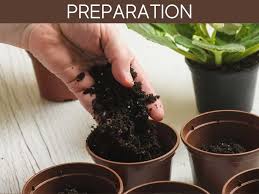 How to use miracle gro garden soil. Can I Use Miracle Gro Garden Soil In Pots Greenhouse Today