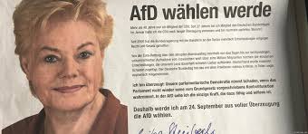 Die heimlichen Wahlhelfer der AfD