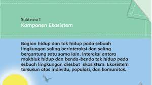 Kunci Jawaban Halaman 13 15 16 17 Tema 5 Kelas 5 Sd Buku Tematik Subtema 1 Komponen Ekosistem Halaman All Tribun Ternate