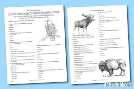 North American Animals List With Pictures Facts Printable Worksheet