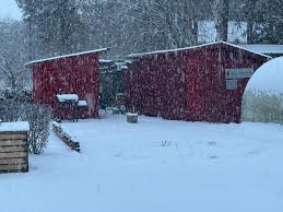 The view from my window