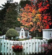 Pin By Andrea Hegyi Egri On Osz In 2021 She Shed Designs Little House House Viewing