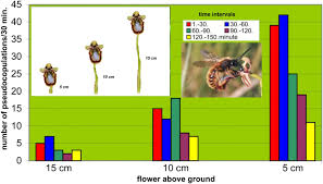 Some plants are able to self pollinate while others will require the help of insects, particularly bees. Speciation Pattern Recognition And The Maximization Of Pollination General Questions And Answers Given By The Reproductive Biology Of The Orchid Genus Ophrys Springerlink