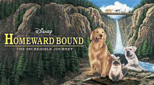 Ellis, the film features the three pets from the first film, shadow the golden retriever (voiced by ralph waite, replacing don ameche, who died in 1993), sassy the himalayan cat (sally field), and chance the american. Go On The Adventure Of A Lifetime Six Lovable Moments From Homeward Bound The Incredible Journey Disney News