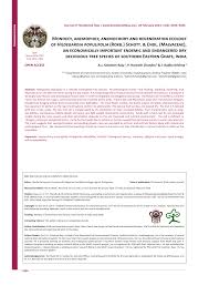 Image result for Hildegardia migeodii