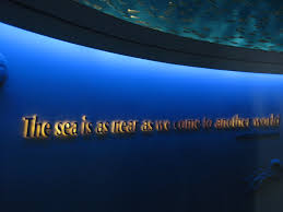 These are the best examples of aquarium quotes on poetrysoup. Monterey Bay Aquarium Quote Sylviayam Flickr