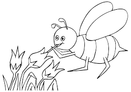 Honey is an organic, natural sugar alternative with no additives that is easy on the stomach, adapts to. Bee Sucking Honey Coloring Page Free Printable Coloring Pages For Kids