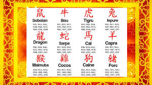 Daca esti un caine nativ, acesta este anul tau. Zodiac Chinezesc Anul Cainelui De PÄƒmant In 2018 Trei Zodii Vor Avea Numai Reusite
