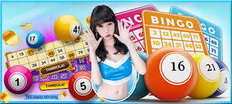 Free Bingo Games To Play Offline Try To Play Free Spins Bingo Sites Bingo Sites Bingo People Online