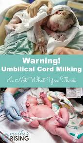Edward dobranszky, nhs cord blood bank manager, says: Pin On Baby