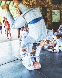 Let Your Dreams Take Flight And If By Some Chance You Dont Know How Ask Your Professor For Help Absamont Brazilian Jiu Jitsu Jiu Jitsu Martial Arts School