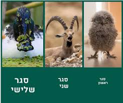 Are the words סגר and עצם entirely interchangeable? Facebook