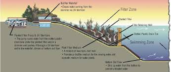 Swimming Ponds Ideas On How To Make One Swimming Pond Swimming Pool Cost Diy Pond Pool