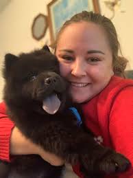 For those dog lovers outhere. Try and check our group , specifically Chow  chow breeds.