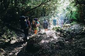 We will go today straight to show you all the answers of wow level 135.in fact our team did a great job to solve it and give all the stuff full of answers and even bonus words if available. Cochamo And Petrohue 7 Of 41 Alzar School Flickr