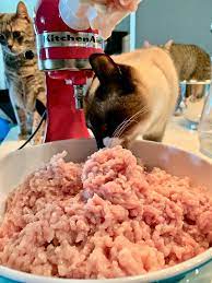 The Best Cat Food For Kidney Disease The Crazy Cat Lady Tips Best Cat Food Kidney Recipes Homemade Cat Food