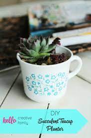 We did not find results for: Diy Succulent Teacup Planter Hello Creative Family