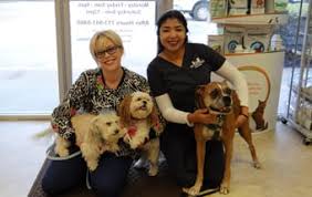 Please know we are doing our best to minimize any inconvenience and thank you for bearing with us — please call ahead so we can ensure your pet's needs can be met and. Veterinarians In Pasadena Tx Angel Animal Hospital