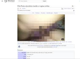 Why Wikipedia Has Pornography-The Reason