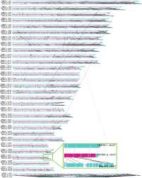 Here are 10 photos of irene, showing her at her most graceful moments! A Clone Free Single Molecule Map Of The Domestic Cow Bos Taurus Genome Bmc Genomics Full Text