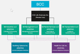 Blog Page 3 Arizona Medical Marijuana Law