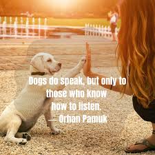 And then i can pay for the rest of the dog's life living with me ($1,295/year). Dogs Do Speak But Only To Those Who Know How To Listen Pets Service Animal Pet Taxi