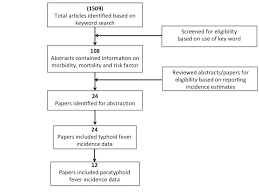 Selection Strategy Flow Diagram Used To Identify Studies On