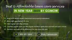 The sensitive growing point for most weeds is near the top of the plant. Best And Affordable Lawn Care Services In New Year 2019 By Gomow