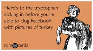 Here S To The Tryptophan Kicking In Before You Re Able To Clog Facebook With Pictures Of Turkey Funny Thanksgiving Memes Ecards Funny Thanksgiving Pictures