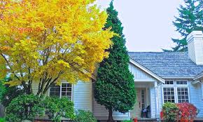 Their fragrant white or pink blooms appear early in the spring before the leaves emerge. 12 Columnar Trees You Must Grow Epic Gardening