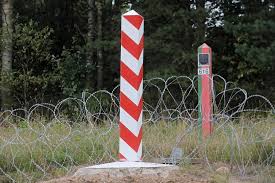 Premier kraju ingrida szimonyte tłumaczyła, że potrzebne jest to ze względu na pewne rozwiązania logistyczne. Xda0btei3koy3m