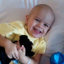 Fundraiser by Megan Gentle : Together 4 Trevor