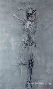 Pin Ot Polzovatelya Joey Lombardo Na Doske Skelet Risunki Risunok Illyustracii