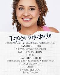 Best In Show Pet Spa