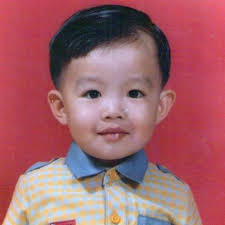 Wind shadow caster or wind beetle?