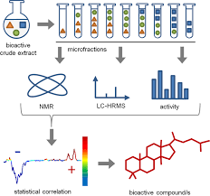 The national emergency order specifically calls for seizure of all assets. 1 H Nmr Ms Based Heterocovariance As A Drug Discovery Tool For Fishing Bioactive Compounds Out Of A Complex Mixture Of Structural Analogues Scientific Reports