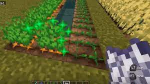 (farmland that's 4 blocks or much less away from the water supply will probably be irrigated). How To Get Carrots In Minecraft Minecraft Carrot Farm